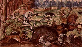 Wild boar hunt. a Jost Amann