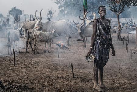 A scene in a mundari cattle camp-II - South Sudan