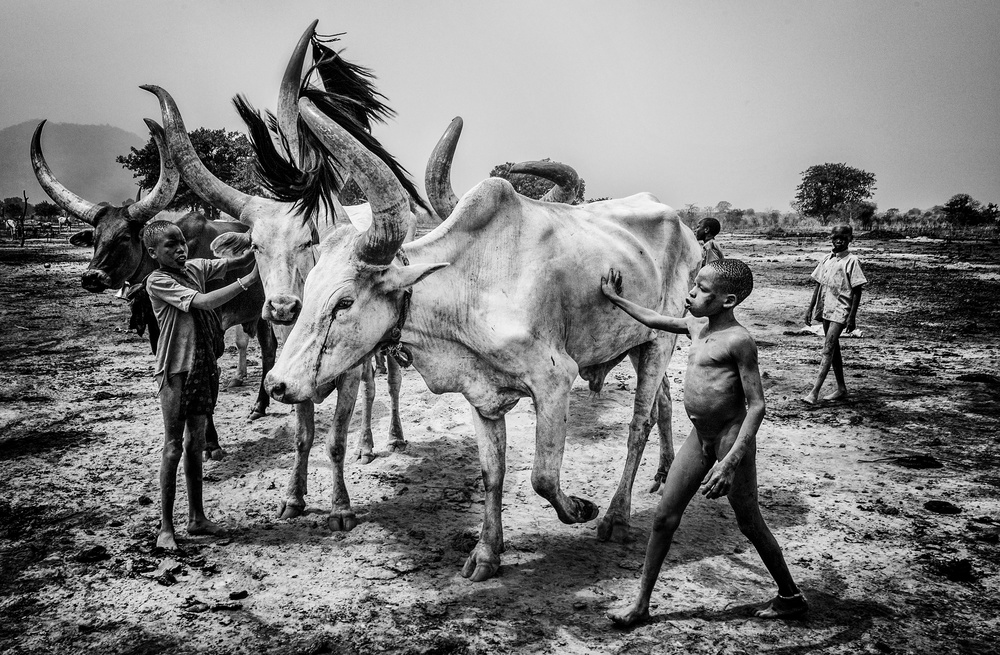 Mundari tribe children taking care of the cattle - South Sudan a Joxe Inazio Kuesta Garmendia