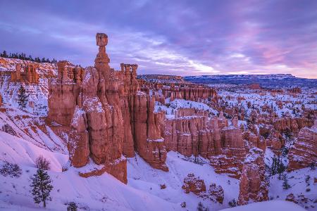 Hoodoos in Bryce Canyon