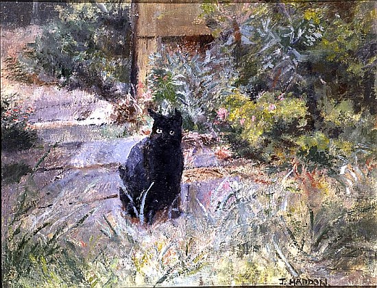 Fat Mog in the Garden (oil on canvas)  a Joyce  Haddon