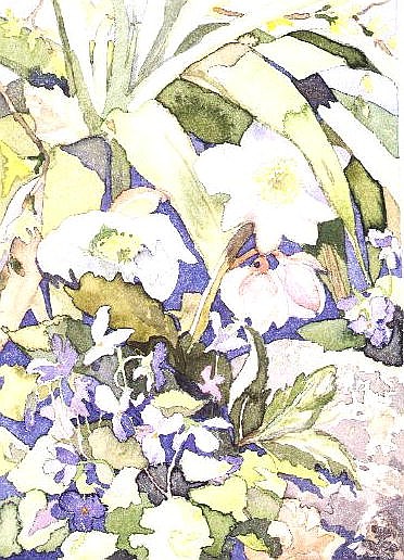February Flowers, 1992  a Julia  Gibson