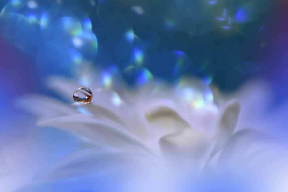 The Song of the Sea... a Juliana Nan