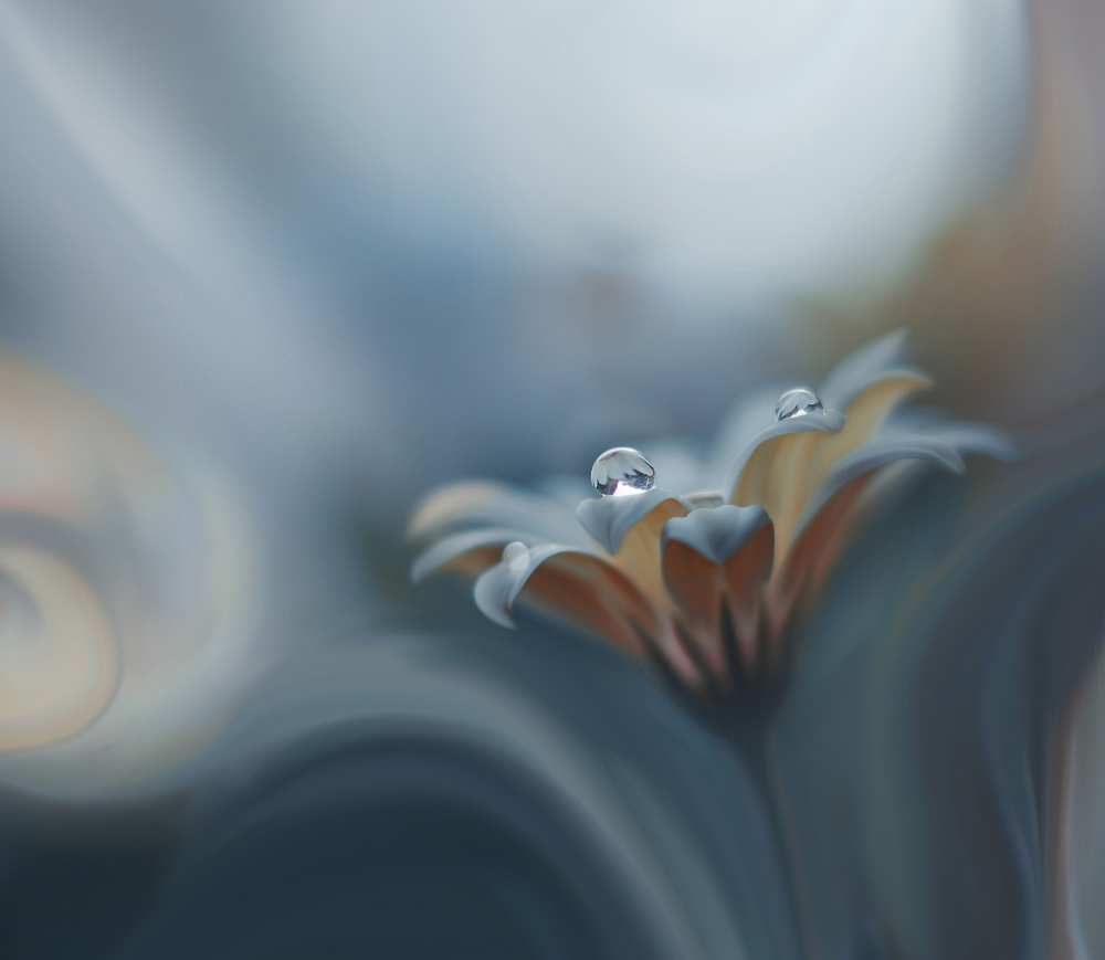 Infinite longing... a Juliana Nan