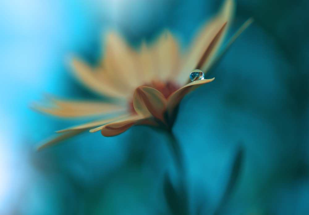 Memories of Sea... a Juliana Nan