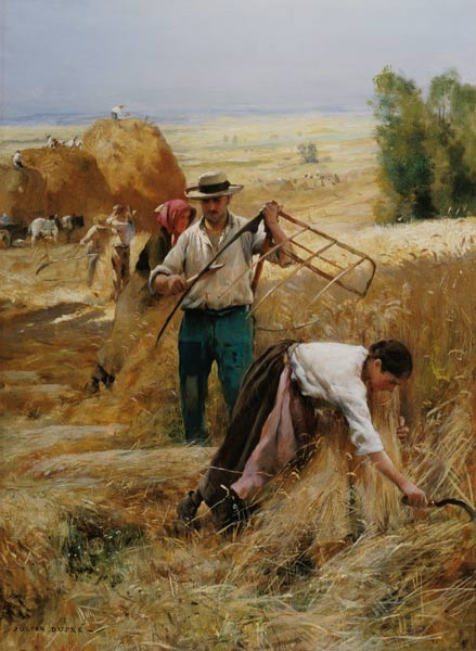 Harvesting a Julien Dupré
