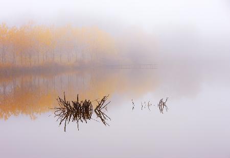 The silence of autumn