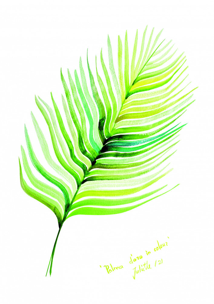 Palma doro in colour a Julija Belickienė