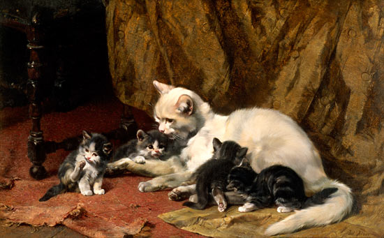 Cat with four boys on an old carpet. a Julius Adam