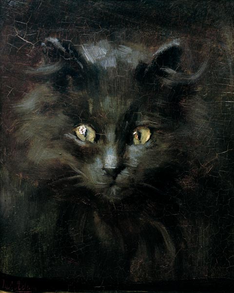 Portrait of a cat a Julius Adam