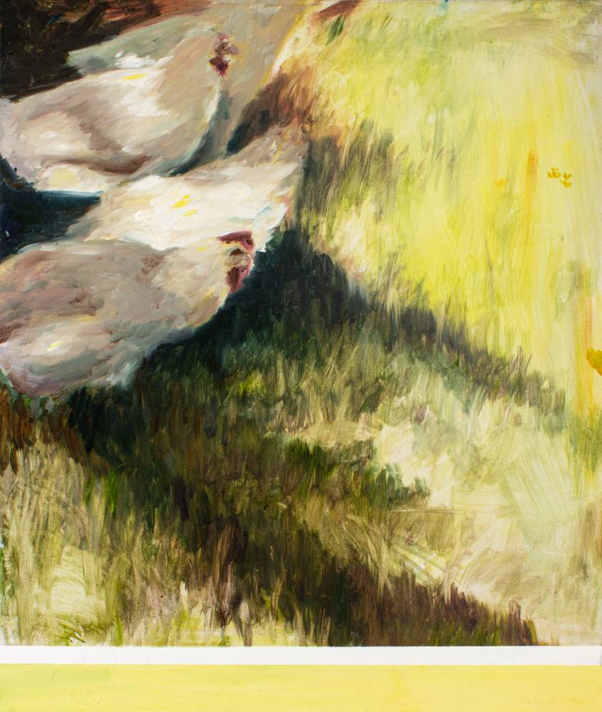 Hühner im Schatten a Julius Müller