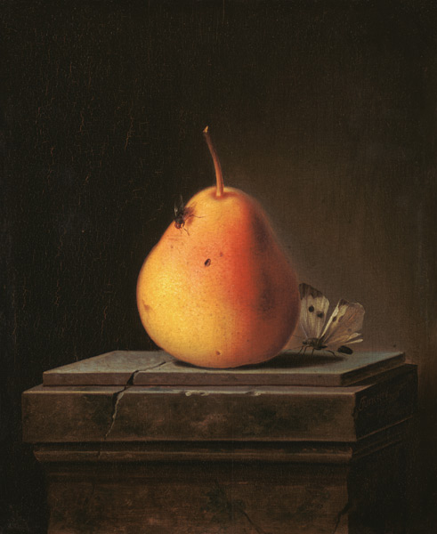 Still Life with Pear and Insects a Justus Juncker