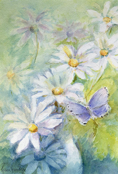 Common Blue (Polyommetus Icarus) on Daisies  a Karen  Armitage