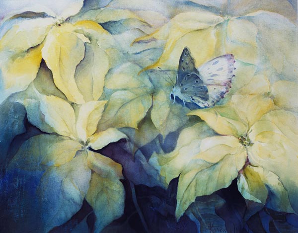 Cream Poinsettia with butterfly  a Karen  Armitage