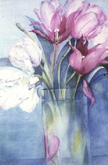 Pink Parrot Tulips and Marlette  a Karen  Armitage