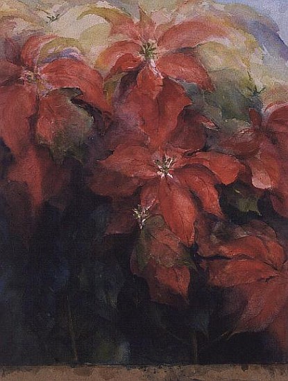 Red Poinsettias  a Karen  Armitage