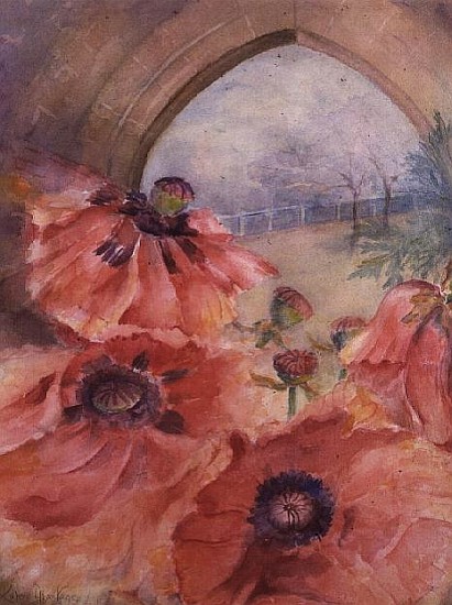 Showgirl Poppies with Archway  a Karen  Armitage