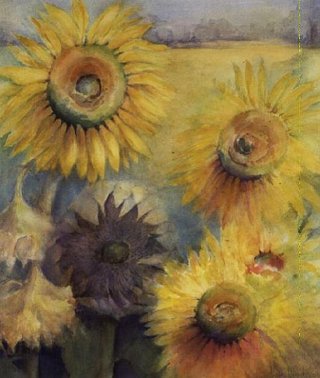 Sunflowers  a Karen  Armitage