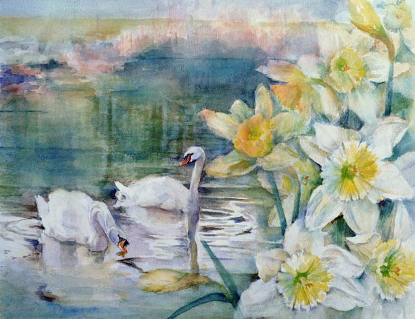 Swans at Hurst  a Karen  Armitage