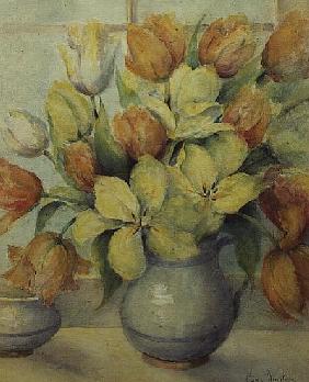 Mendel and Darwin Tulips on a Window Sill 