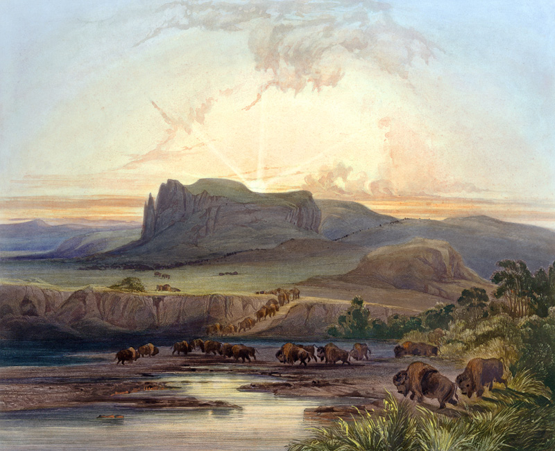 Herd of Bison on the Upper Missouri, plate 40 from Volume 2 of 'Travels in the Interior of North Ame a Karl Bodmer