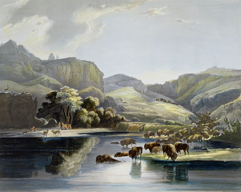 Herds of Bison and Elk on the Upper Missouri, plate 47 from Volume 2 of 'Travels in the Interior of a Karl Bodmer