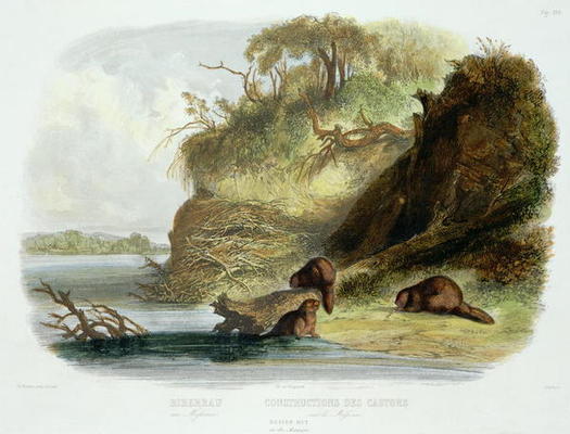 Beaver Hut on the Missouri, plate 17 from volume 1 of `Travels in the Interior of North America', en a Karl Bodmer