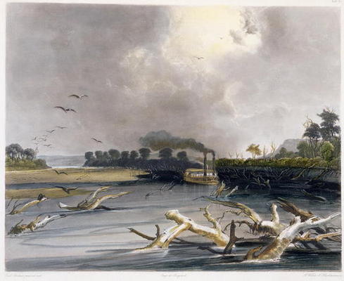 Snags (sunken trees) on the Missouri, plate 6 from Volume 2 of 'Travels in the Interior of North Ame a Karl Bodmer