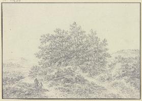 Baumpartie auf steinigem Gelände, im Vordergrund ein Mann und ein Kind