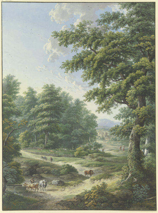 Umzäunter Weideplatz im Wald, im Vordergrund eine Viehtränke a Karl Franz Kraul