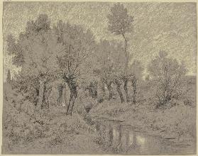 Willows at a stream