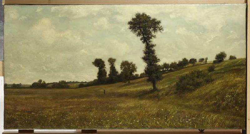 Wiesenplan, rechts Hügelhang mit Büschen und Bäumen. a Karl Peter Burnitz