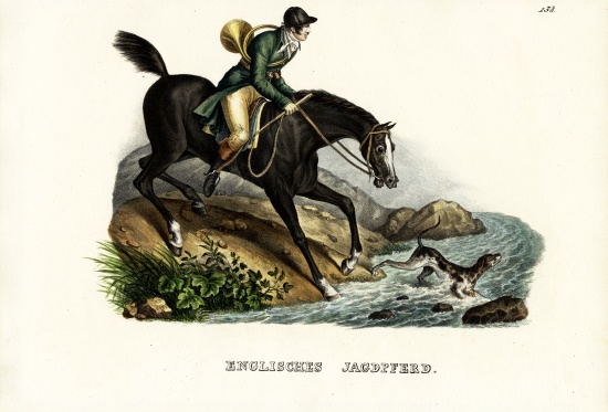 English Hunter Horse a Karl Joseph Brodtmann