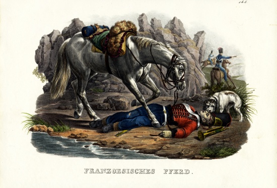 French Horse a Karl Joseph Brodtmann