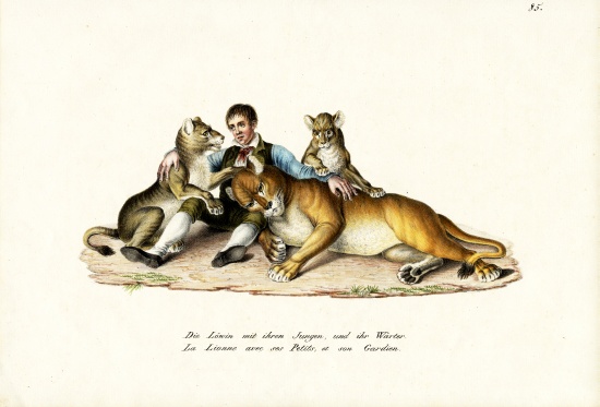 Lioness With Cubs a Karl Joseph Brodtmann