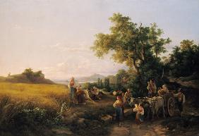 Italian landscape with ox cars during the grain harvest