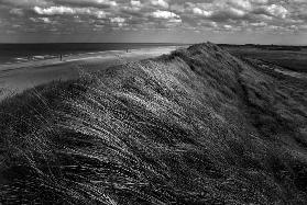 Dunes hair.