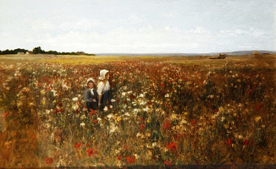 The Poppyfield a Kate Colls