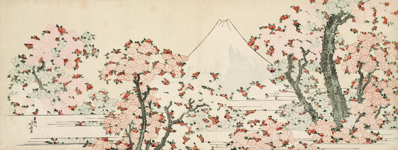 The Mount Fuji with Cherry Trees in Bloom a Katsushika Hokusai