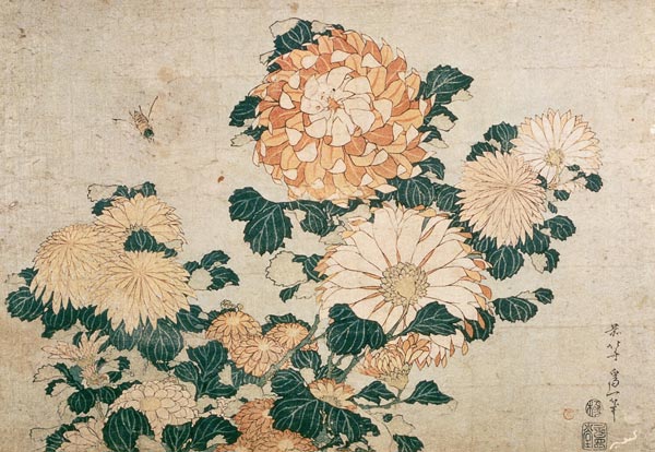 Chrysanthemums a Katsushika Hokusai