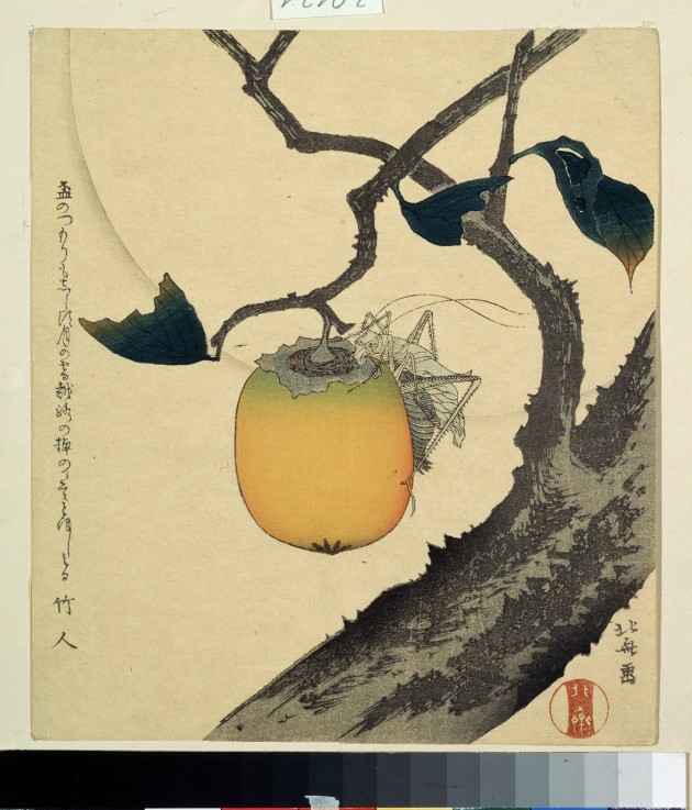 Moon, Persimmon and Grasshopper a Katsushika Hokusai