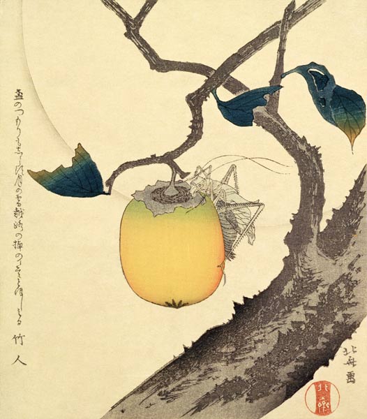Moon, Persimmon and Grasshopper, 1807 (colour woodcut) a Katsushika Hokusai