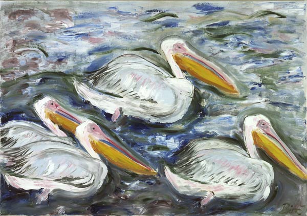 Pelikane a Sabine Katterle