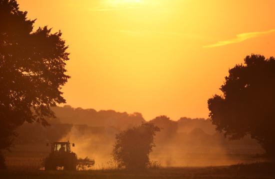 Traktor im Sonnenuntergang a Kay Nietfeld
