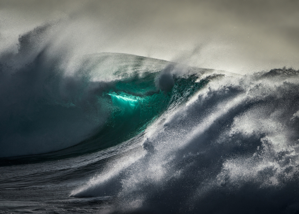 Waimea Fury a Ken Fong