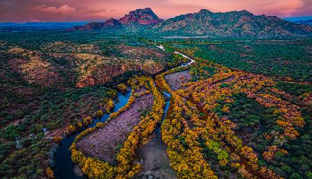 Morning at Salt River