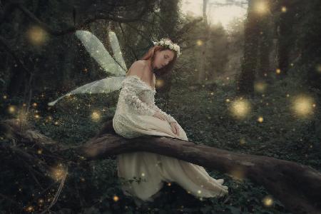 A fairys wish