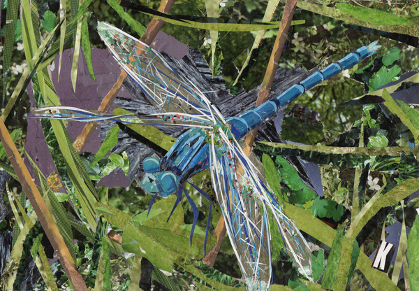 Blue Dragonfly a Kirstie Adamson