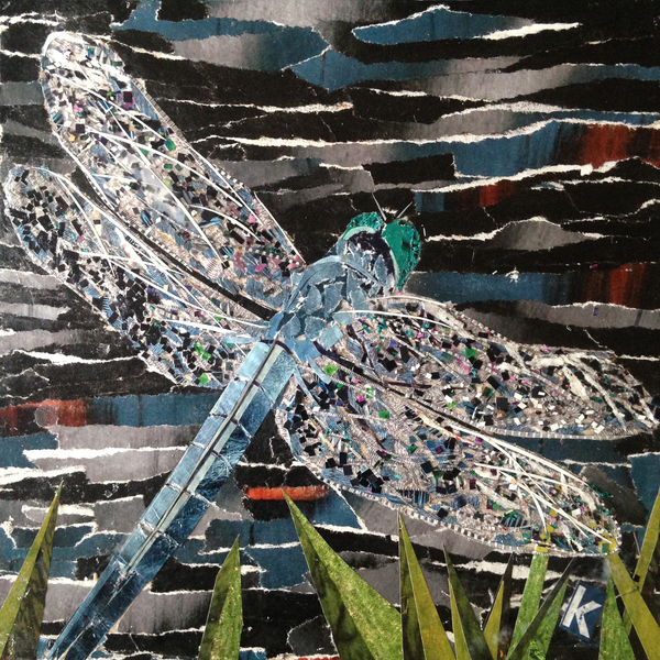 Dart - Emperor Dragonfly At Riverside a Kirstie Adamson
