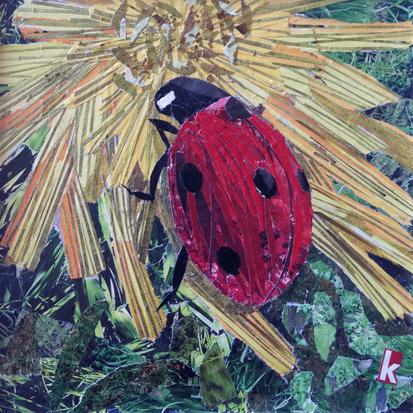 Rise Ladybird On Chrysanthemum a Kirstie Adamson
